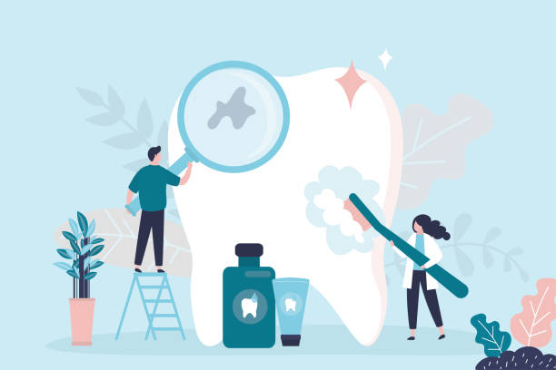 Best Dental Exams and Cleanings  in Wake Village, TX